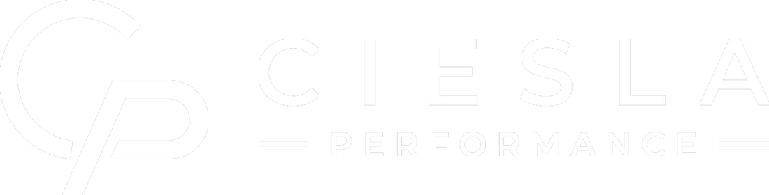 CIESLA Performance