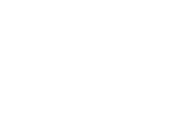 CIESLA Performance